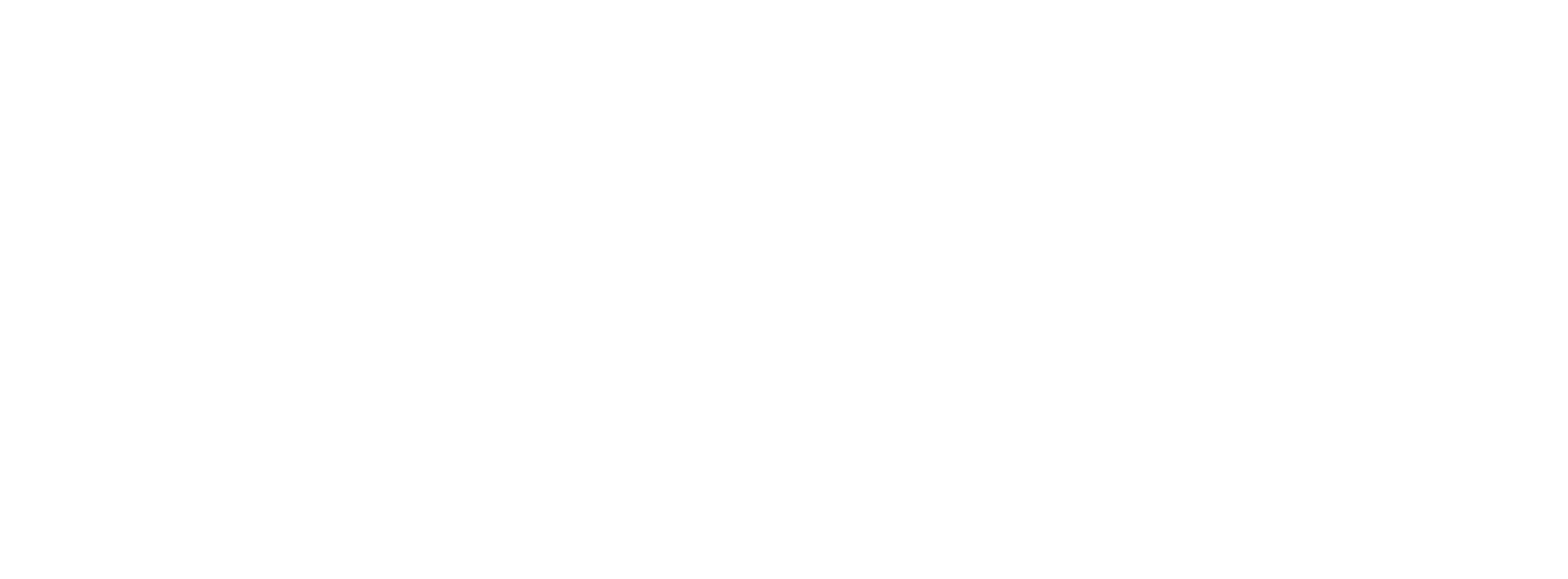 msn-logo